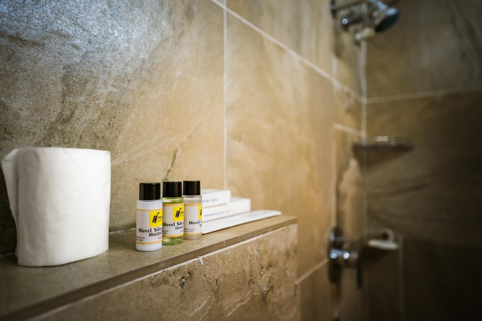 Tripli Hotels Silver Shine فاراناسي المظهر الخارجي الصورة